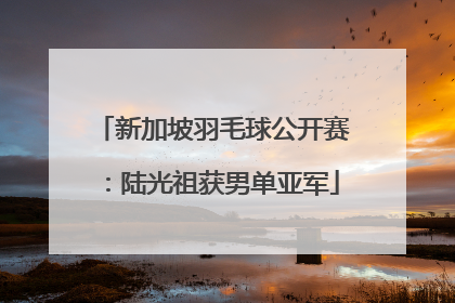 新加坡羽毛球公开赛：陆光祖获男单亚军