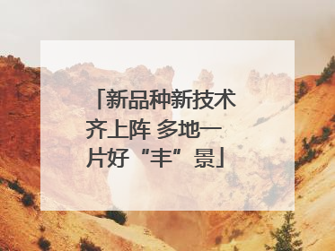 新品种新技术齐上阵 多地一片好“丰”景