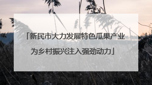 新民市大力发展特色瓜果产业 为乡村振兴注入强劲动力