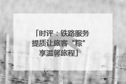 时评：铁路服务提质让旅客“粽”享温馨旅程