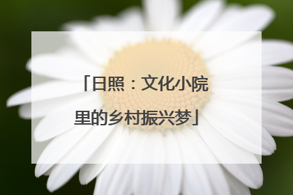 日照：文化小院里的乡村振兴梦