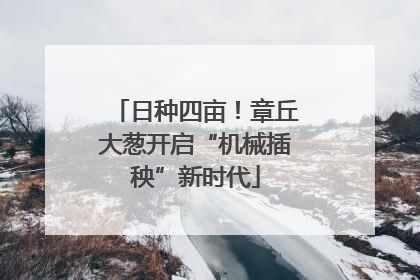 日种四亩！章丘大葱开启“机械插秧”新时代