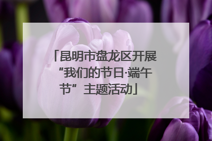 昆明市盘龙区开展“我们的节日·端午节”主题活动