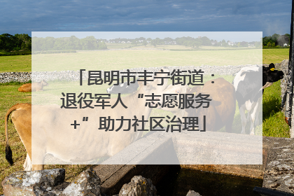 昆明市丰宁街道：退役军人“志愿服务+”助力社区治理