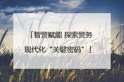 智警赋能 探索警务现代化“关键密码”