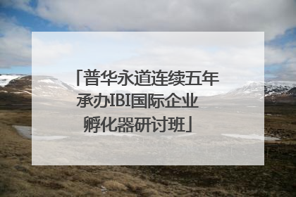 普华永道连续五年承办IBI国际企业孵化器研讨班