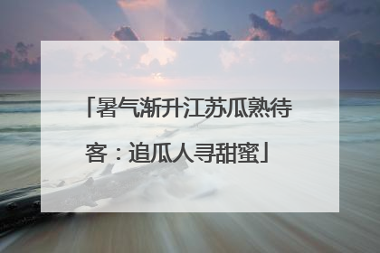 暑气渐升江苏瓜熟待客：追瓜人寻甜蜜