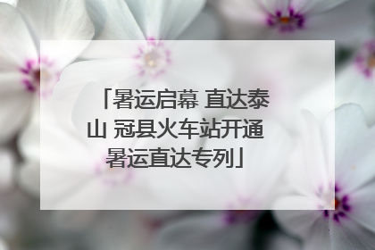 暑运启幕 直达泰山 冠县火车站开通暑运直达专列