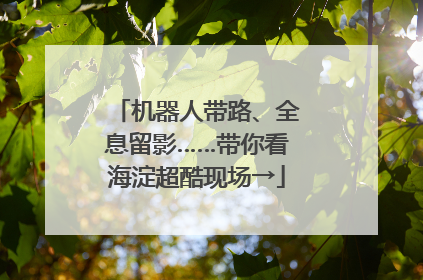 机器人带路、全息留影……带你看海淀超酷现场→