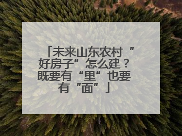 未来山东农村“好房子”怎么建？既要有“里”也要有“面”