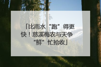 比雨水“跑”得更快！慈溪梅农与天争“鲜”忙抢收
