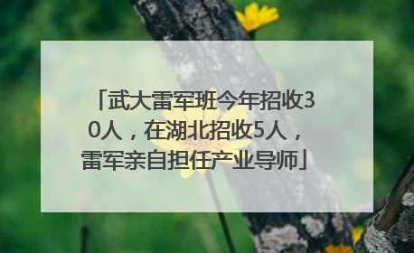 武大雷军班今年招收30人，在湖北招收5人，雷军亲自担任产业导师
