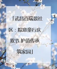 武昌百瑞景社区：粽意童行庆双节 护苗传承筑家园