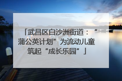 武昌区白沙洲街道：“蒲公英计划”为流动儿童筑起“成长乐园”