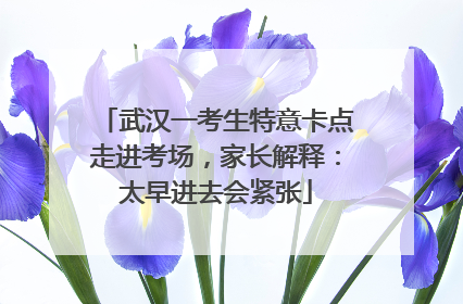武汉一考生特意卡点走进考场，家长解释：太早进去会紧张