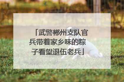 武警郴州支队官兵带着家乡味的粽子看望退伍老兵
