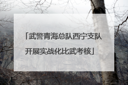 武警青海总队西宁支队开展实战化比武考核