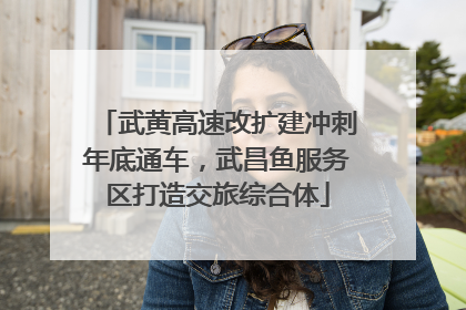 武黄高速改扩建冲刺年底通车，武昌鱼服务区打造交旅综合体