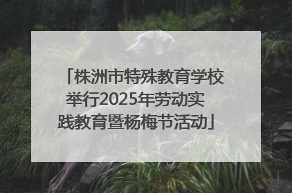 株洲市特殊教育学校举行2025年劳动实践教育暨杨梅节活动