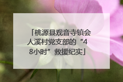 桃源县观音寺镇会人溪村党支部的“48小时”救援纪实