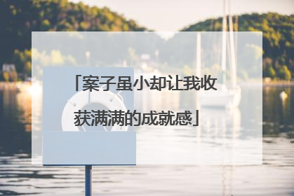 案子虽小却让我收获满满的成就感
