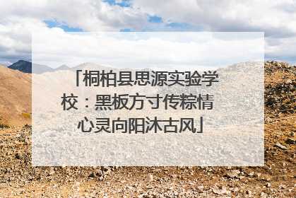 桐柏县思源实验学校：黑板方寸传粽情 心灵向阳沐古风