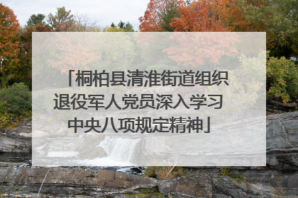 桐柏县清淮街道组织退役军人党员深入学习中央八项规定精神
