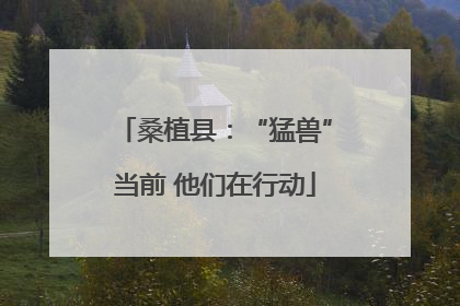 桑植县：“猛兽”当前 他们在行动