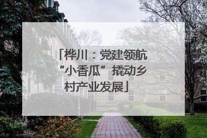 桦川：党建领航“小香瓜”撬动乡村产业发展