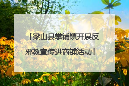 梁山县拳铺镇开展反邪教宣传进商铺活动