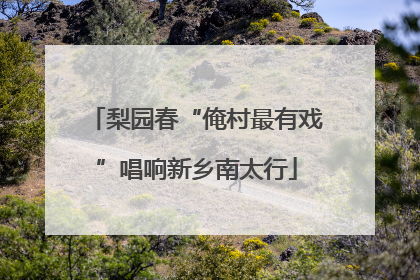 梨园春“俺村最有戏”唱响新乡南太行