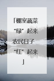 棚室蔬菜“绿”起来 农民日子“红”起来