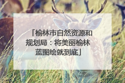 榆林市自然资源和规划局：将美丽榆林蓝图绘就到底