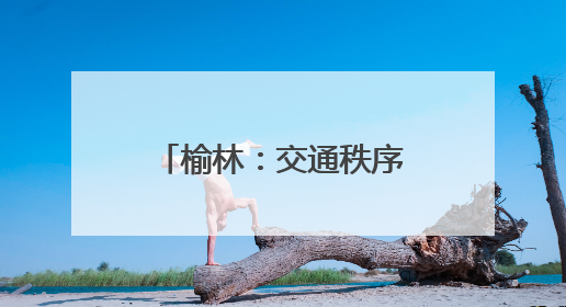 榆林：交通秩序焕“新” 人车出行有“礼”