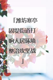 潍坊寒亭固堤街道打响人居环境整治攻坚战