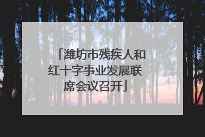 潍坊市残疾人和红十字事业发展联席会议召开