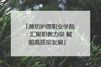 潍坊护理职业学院：汇聚职教力量 赋能高质量发展