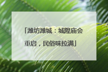 潍坊潍城：城隍庙会重启，民俗味拉满
