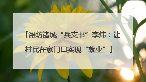 潍坊诸城“兵支书”李炜：让村民在家门口实现“就业”
