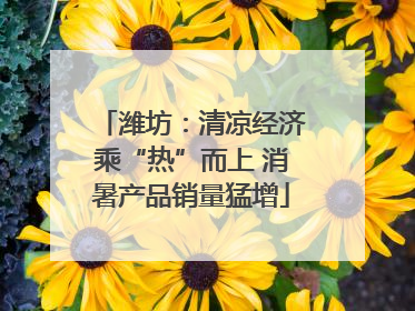 潍坊：清凉经济乘“热”而上 消暑产品销量猛增
