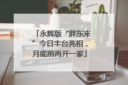 永辉版“胖东来”今日丰台亮相，月底前再开一家