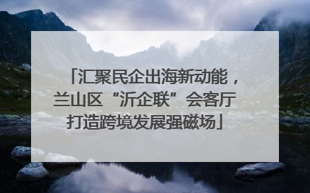 汇聚民企出海新动能，兰山区“沂企联”会客厅打造跨境发展强磁场