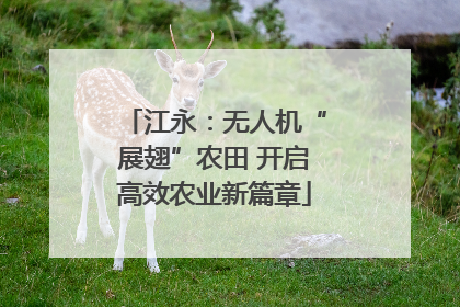 江永：无人机“展翅”农田 开启高效农业新篇章