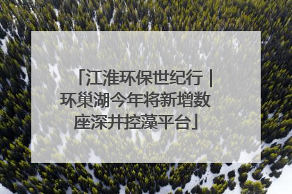 江淮环保世纪行｜环巢湖今年将新增数座深井控藻平台