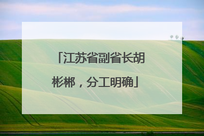 江苏省副省长胡彬郴，分工明确