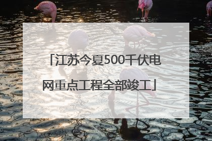 江苏今夏500千伏电网重点工程全部竣工