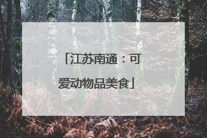 江苏南通：可爱动物品美食