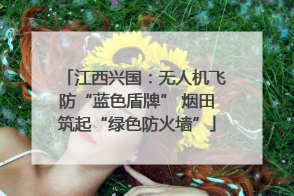 江西兴国：无人机飞防“蓝色盾牌” 烟田筑起“绿色防火墙”