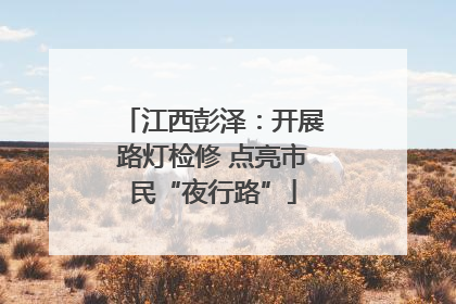 江西彭泽：开展路灯检修 点亮市民“夜行路”
