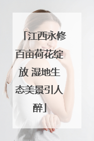 江西永修百亩荷花绽放 湿地生态美景引人醉